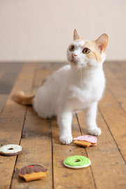 FAD+ フェルト・トイ/ブラウンカップケーキ＆ドーナツ | DADWAY PET