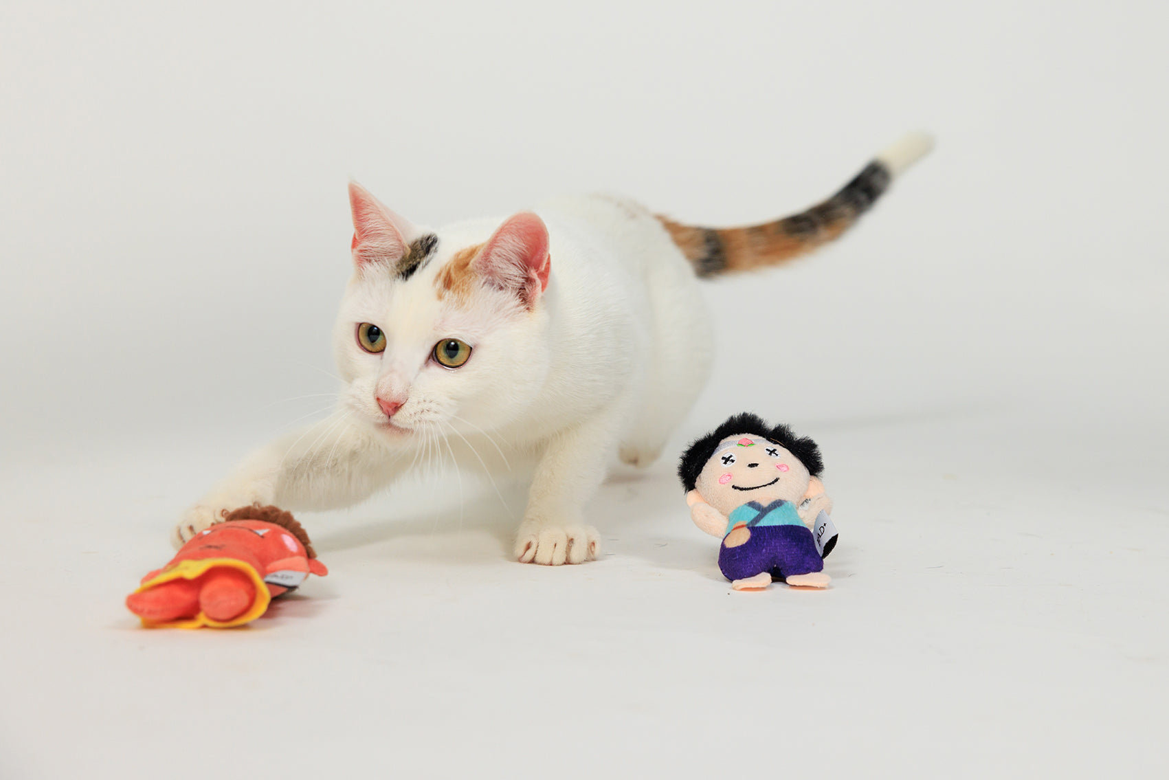 猫TWISTED PARADISE & HUMANITYセット 楽天市場】猫グッズ 猫 ネコ ぬいぐるみ 名前入れ 70％ 置物