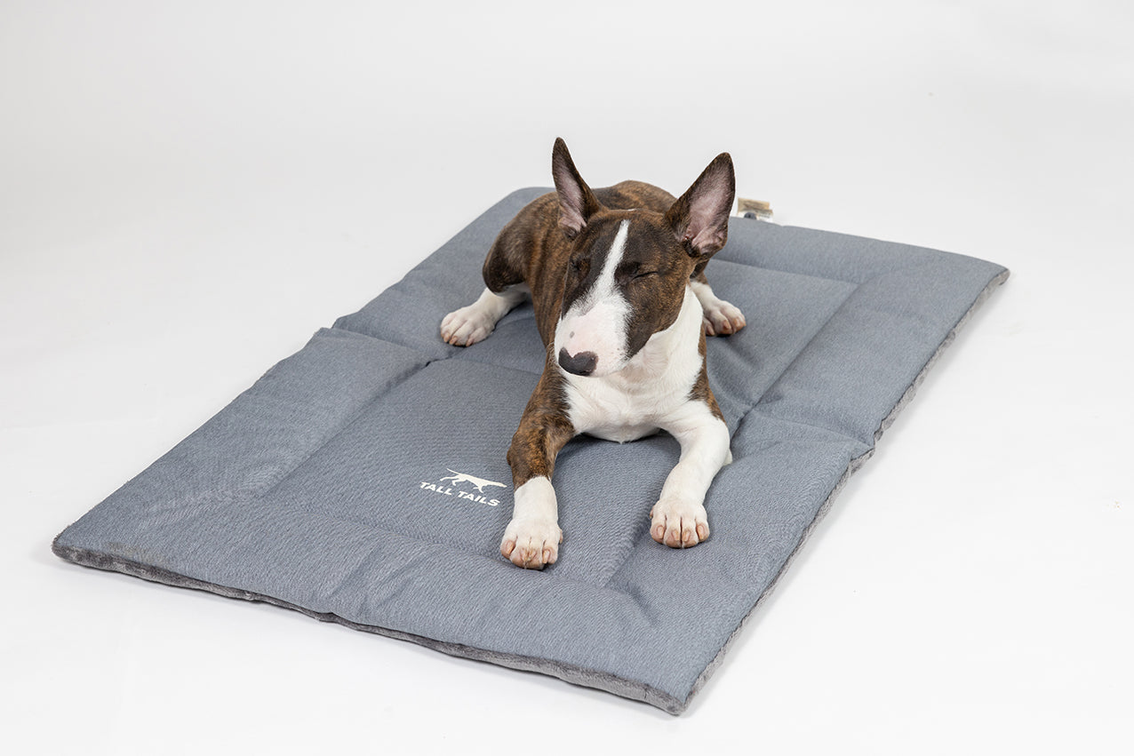 クレート・ベッド | DADWAY PET DEPARTMENT