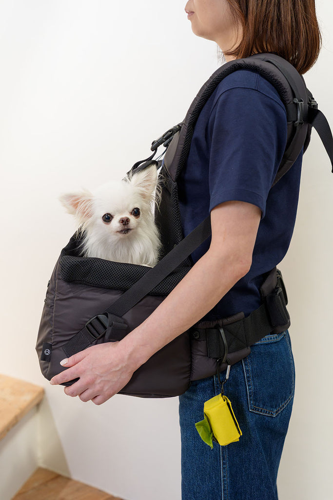 ダッドウェイ ペットデパートメント｜DADWAY PET DEPARTMENT