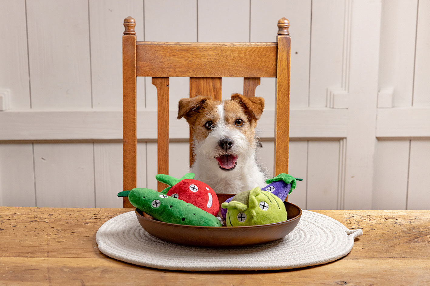 ダッドウェイ ペットデパートメント｜DADWAY PET DEPARTMENT