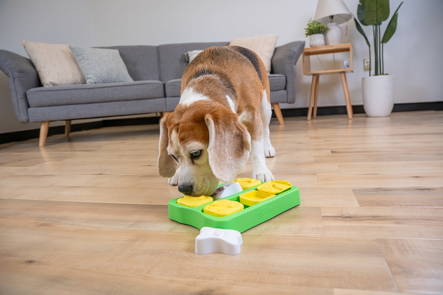 ドッグフード We're ドッグフード（ドライ） - we dog & cat home furnishing