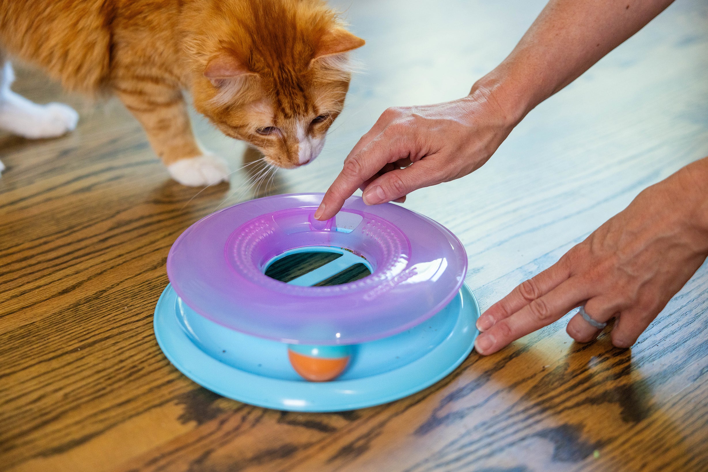 新商品 - New Arrival - | DADWAY PET DEPARTMENT