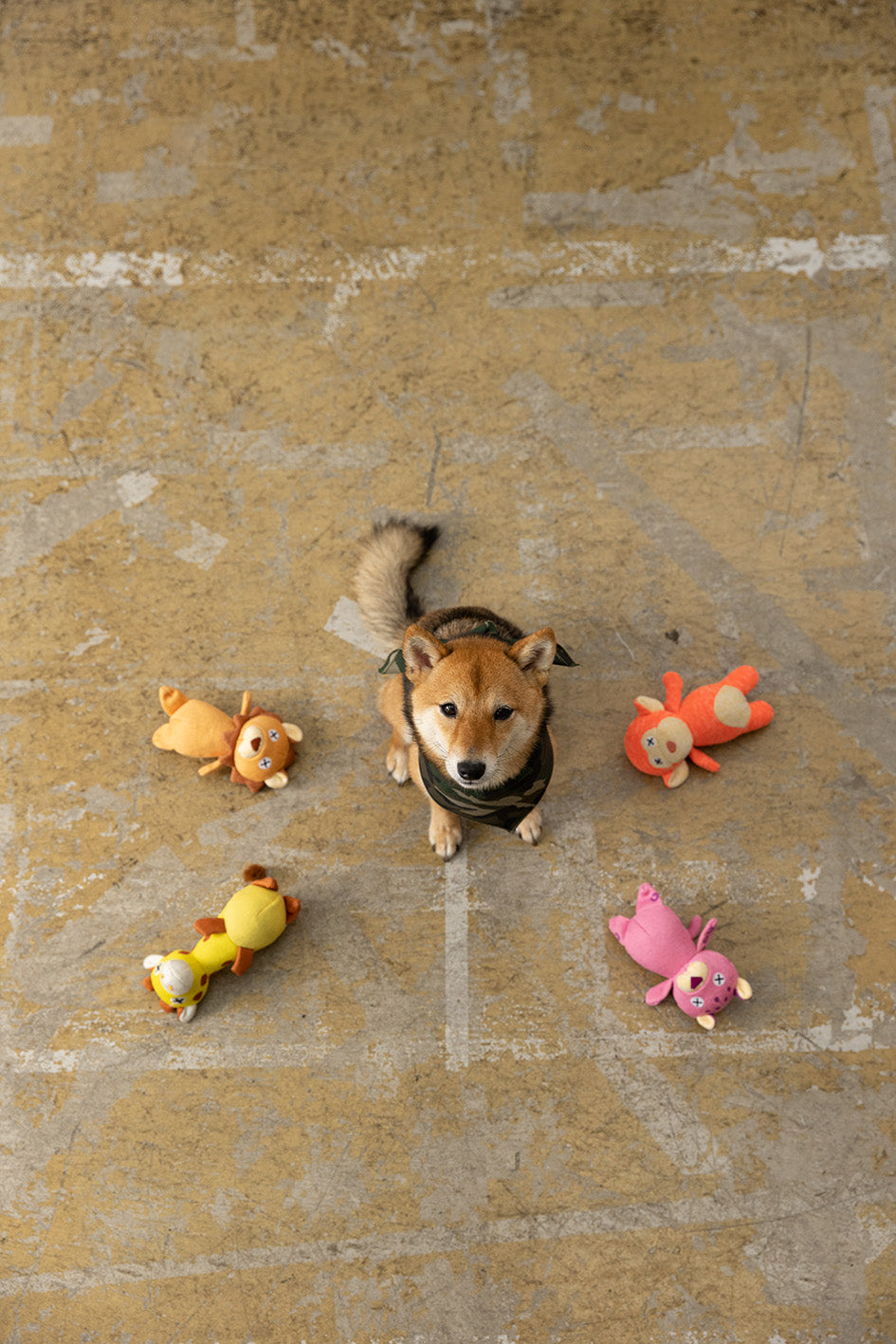 サファリ・プラッシュトイ／S／パンサー | DADWAY PET DEPARTMENT