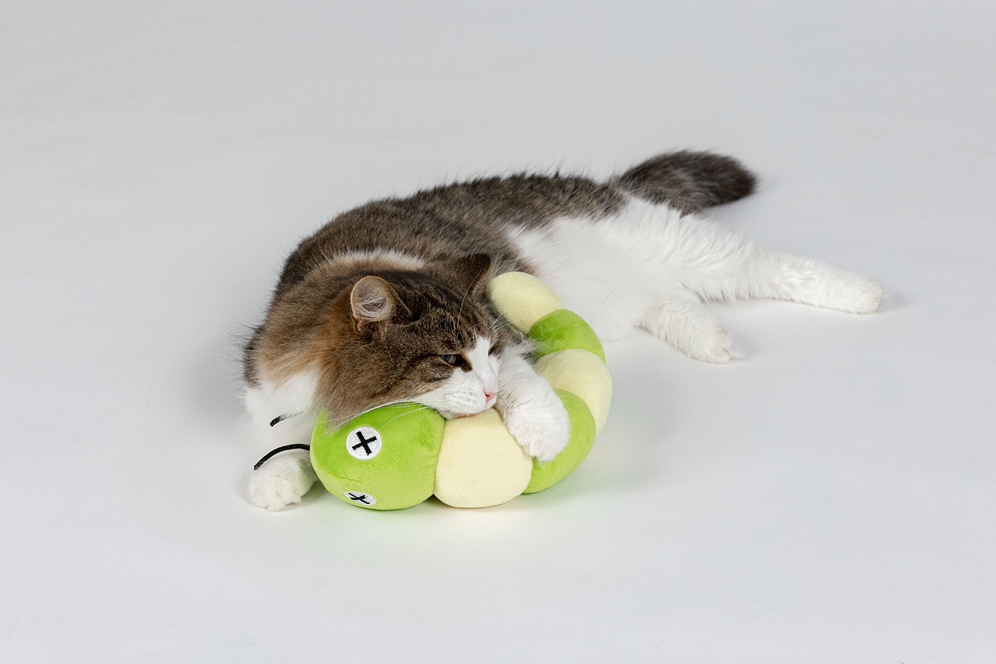 キャットトイ／キャタピラー／ラージ | DADWAY PET DEPARTMENT