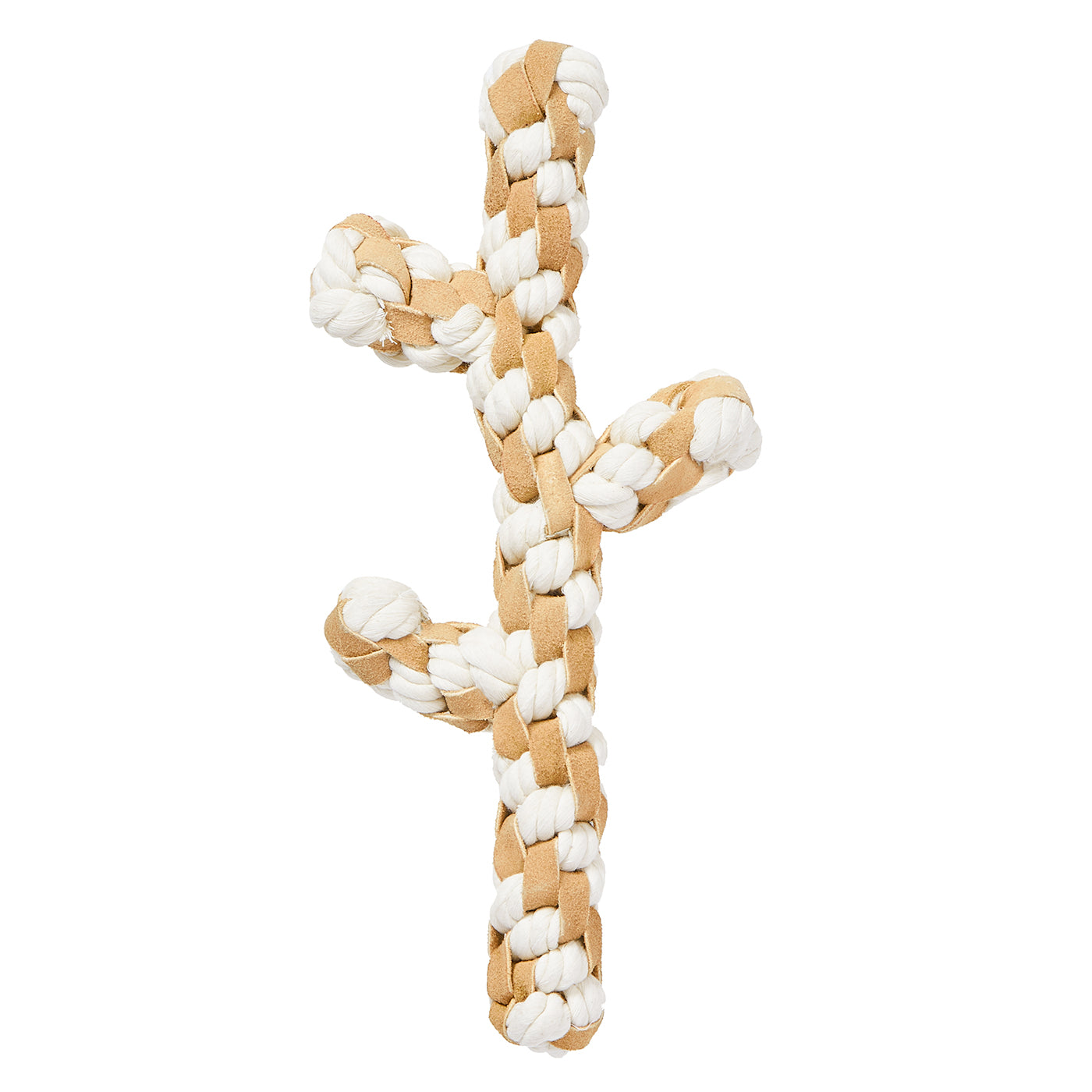 FAD_2_93f7c46c-8949-458e-8add-