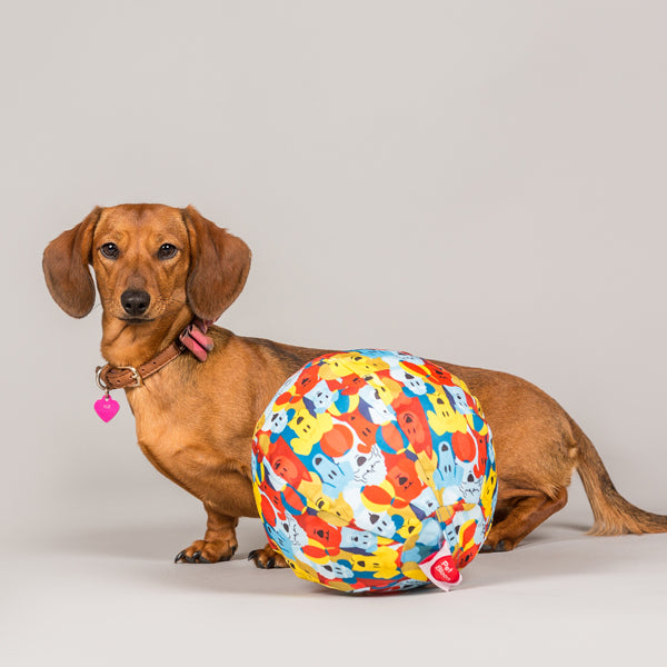 風船犬 ジェフ・クーンズ「バルーン・ドッグ（ブルー） ジェフ