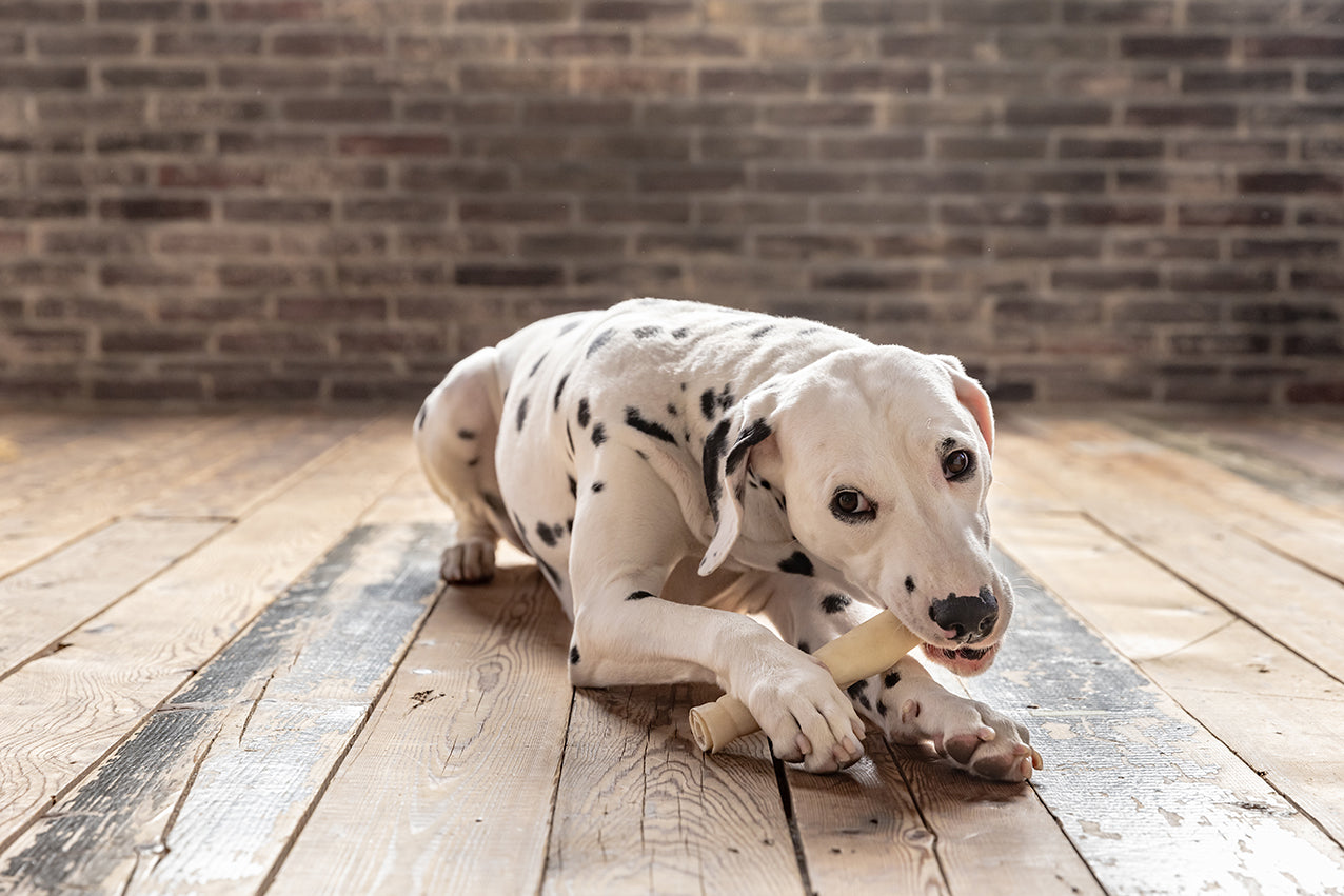 FAD 国産牛皮／ロール【定期購入／10%OFF】 | DADWAY PET DEPARTMENT