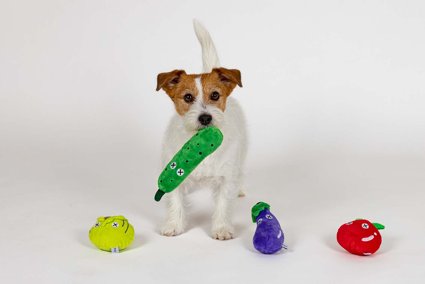 PTFAP1200X_4582625630665_200_d