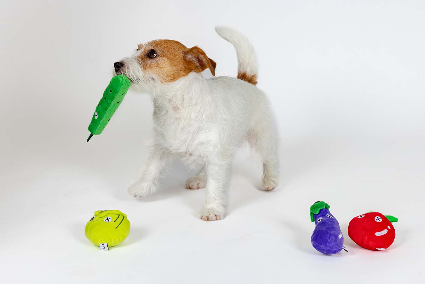 「トマト祭　正規品」YOLOstudio NOFIRE フィジェットトイ トマト祭 正規品」YOLOstudio NOFIRE フィジェットトイ トマト祭様専用