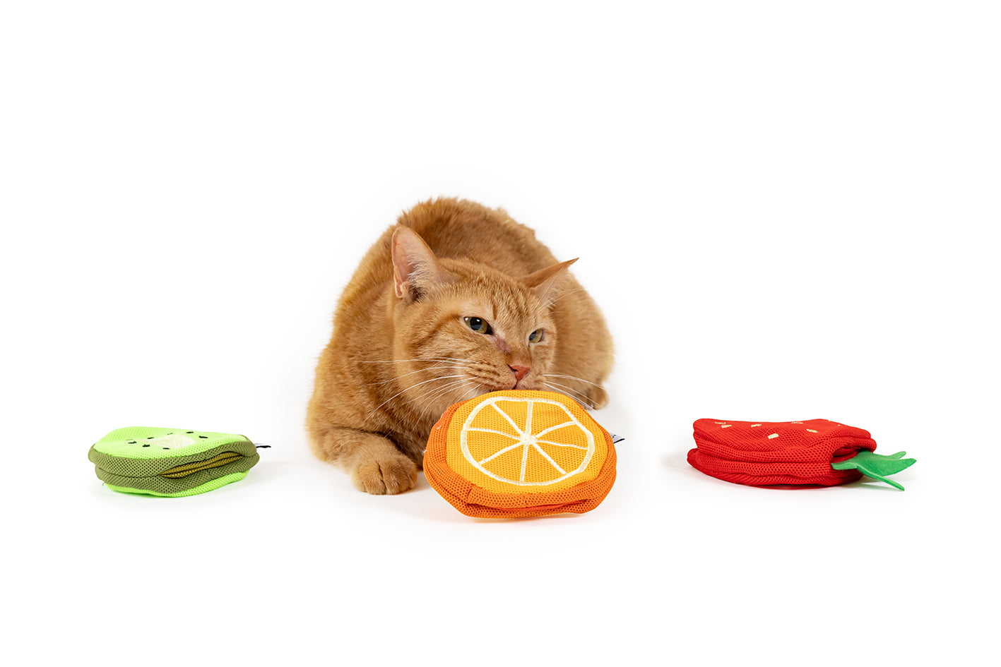 【新品未開封】キャットクエスト１＆２＆３ファータスティック・トリロジー 新品未開封】キャットクエスト1＆2＆3ファータスティック