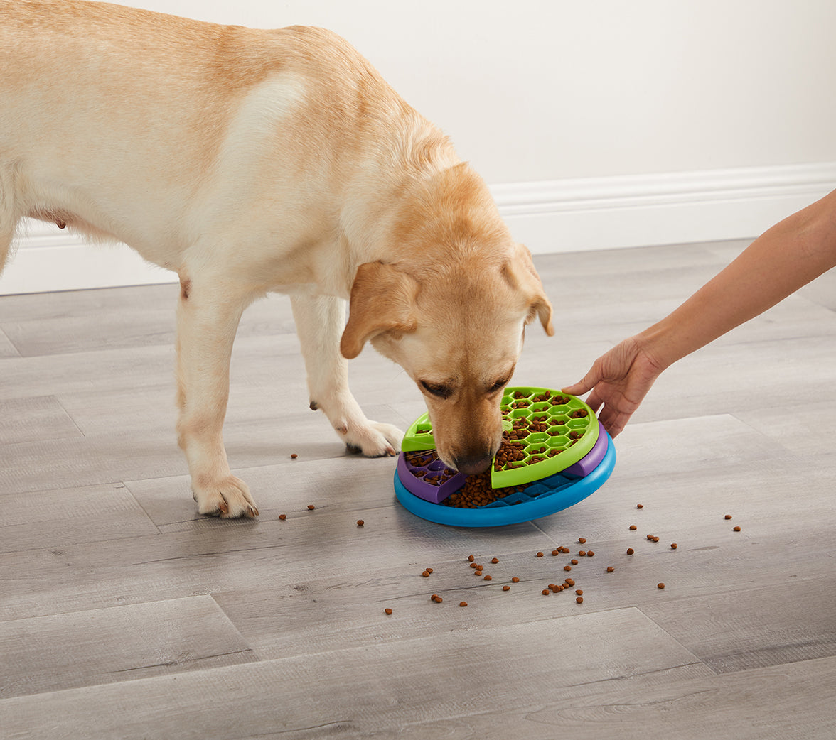 犬と猫のロッキングプレート　裁断済み 81-621uNFoL.jpg