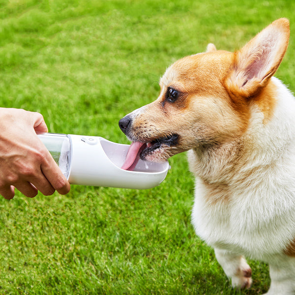Amazon | ポータブル犬用ウォーターボトル、犬用ウォーター