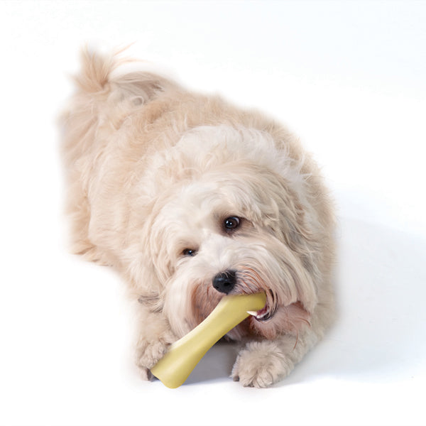Petstages Chick-a-Bone チキンフレーバー XS 10個 Petstages Chick-A-Bone Dog Toy, Small | Petco